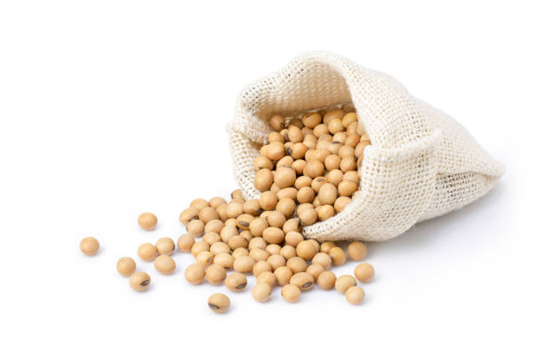 refined soybean oil suppliers