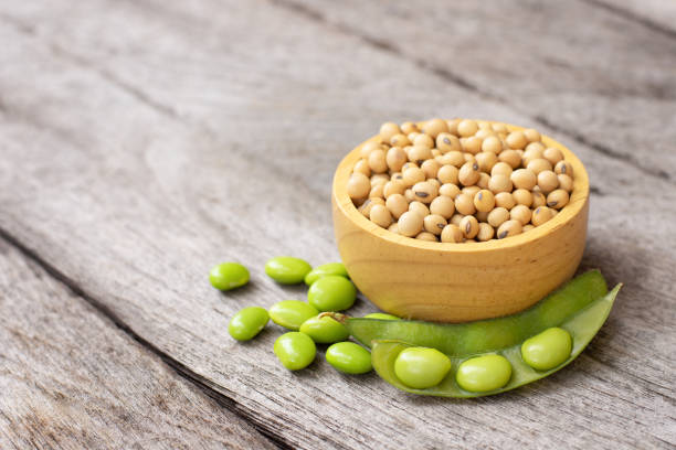 refined soybean oil suppliers